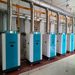 北京市畜牧总站供暖锅炉及附属设施更新改造项目